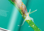 Oceanographic, Issue 21