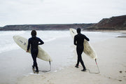 Bears and Big Waves