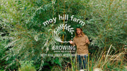 Moy Hill Farm - Growing Trees