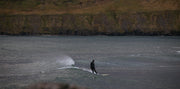 Arctic Surf | Tina Bingham