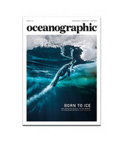 Oceanographic, Issue 14