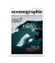 Oceanographic, Issue 13