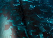 Oceanographic, Issue 12