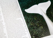 Oceanographic, Issue 13