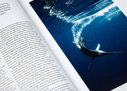 Oceanographic, Issue 11