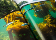 Oceanographic, Issue 11