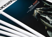 Oceanographic, Issue 11